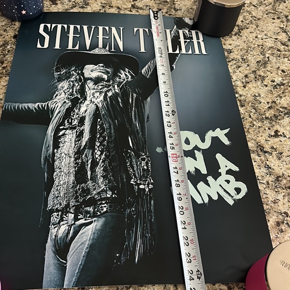 Steven Tyler ‘Out On A Limb’ tour print - Picture 3 of 3